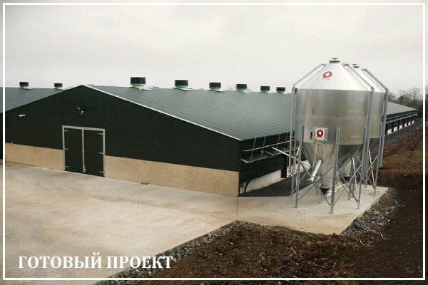 Этапы возведения птицефабрики от завода ВелесТент-рбн